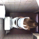 An excellent voyeur clip in which a hidden camera is mounted high up on the ceiling of a public toilet stall. 2 different women are recorded shitting with clear audio. The first is subtle plopping. The second is a loose, wet dump. Over 6 minutes.